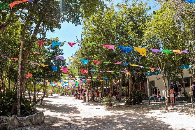 Cenotes Casa Tortuga: 4 Cenotes Day Pass All Inclusive - The Itinerary in Detail