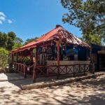 Cenotes Casa Tortuga: 4 Cenotes Day Pass + Kayak - Authentic Insights from Travelers