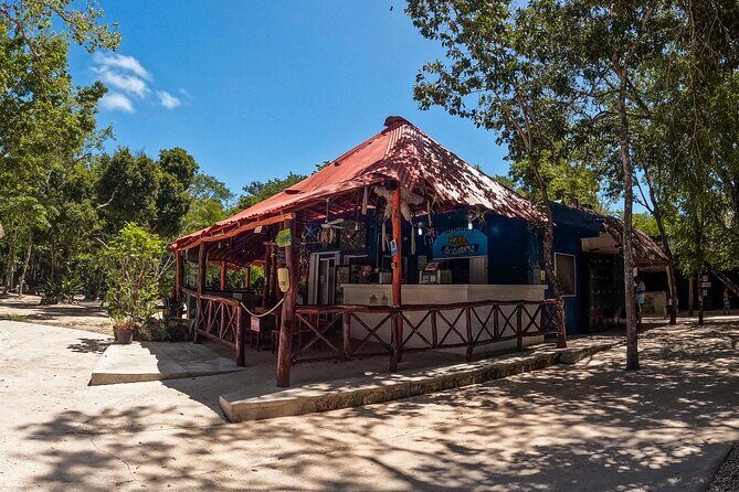 Cenotes Casa Tortuga: 4 Cenotes Day Pass + Kayak - Authentic Insights from Travelers