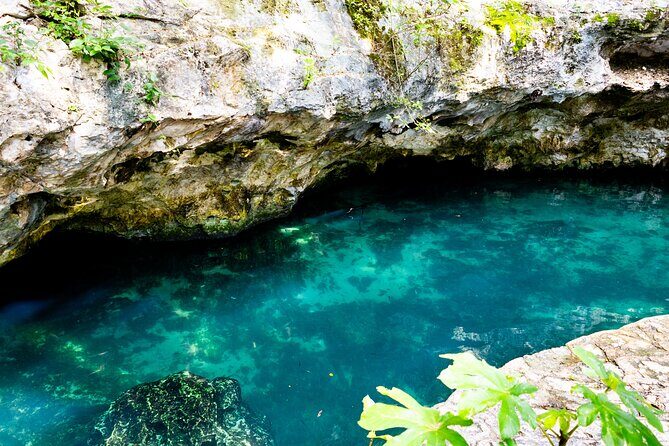 Cenotes Casa Tortuga Admission Ticket - What’s Included and What’s Not