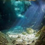 Cenotes diving from Riviera Maya - The Sum Up