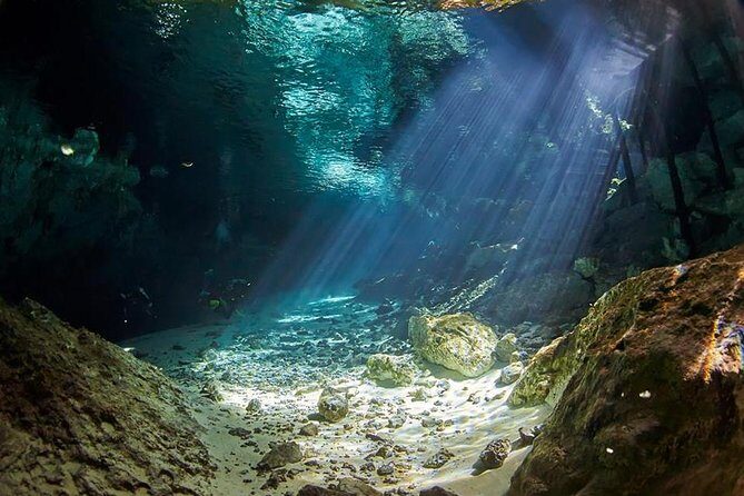 Cenotes diving - An In-Depth Look at the Cenotes Diving Tour