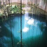 Cenotes snorkeling excursion - Snorkeling Experience and Equipment