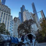 Central Park Carriage Ride NYCs Timeless Tour - Who Should Consider This Tour?