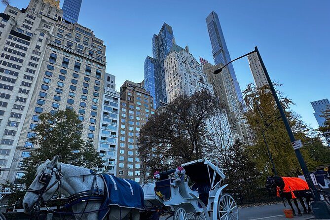 Central Park Carriage Ride NYCs Timeless Tour - Who Should Consider This Tour?