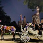 Central Park Moonlight Tour with Photo (45 min) ~ Skip the line - What Reviewers Love