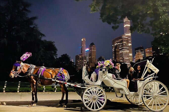 Central Park Moonlight Tour with Photo (45 min) ~ Skip the line - What Reviewers Love