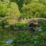 Central Park Movie Locations Pedicab Tour - What Past Travelers Say