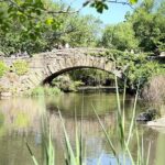 Central Park Pedicab Guided Tours with Theater - The Experience of the Pedicab Ride