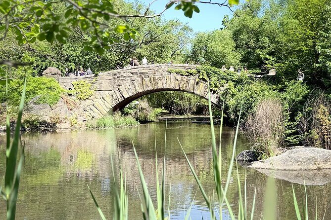 Central Park Pedicab Guided Tours with Theater - The Experience of the Pedicab Ride