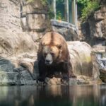 Central Park Zoo Entry Ticket - Who Will Love This Experience?