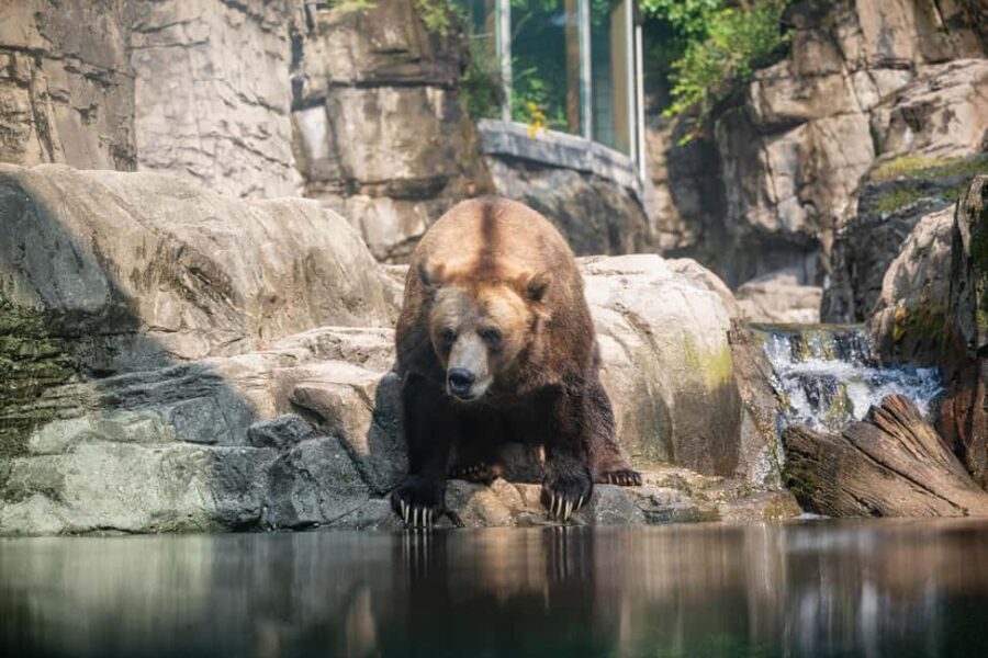 Central Park Zoo Entry Ticket - Who Will Love This Experience?