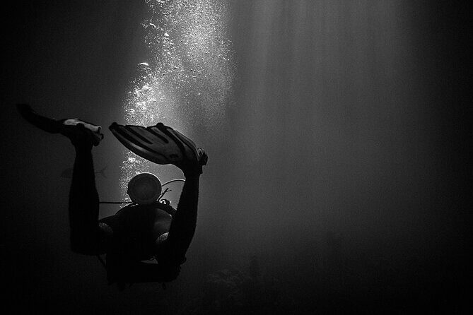 Certified Beach Night Dive - Who Should Book This Tour?