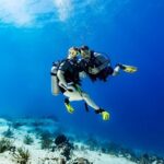 Certified Diving 2 Tanks in Cozumel - Real Traveler Insights