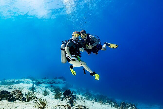 Certified Diving 2 Tanks in Cozumel - Real Traveler Insights