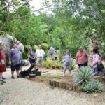 Chacchoben Mayan City and Mayan Experience Combo Tour - The Sum Up