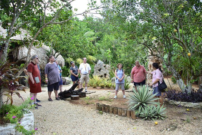 Chacchoben Mayan City and Mayan Experience Combo Tour - The Sum Up