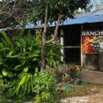 Chacchoben Ruins and Bacalar Lagoon Boat Tour - Authentic Experiences and Traveler Feedback