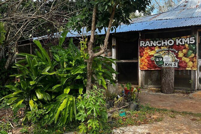 Chacchoben Ruins and Bacalar Lagoon Boat Tour - Authentic Experiences and Traveler Feedback