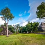 Chacchoben Ruins Private Transportation (Cruise Ships) - What to Expect During the Ride