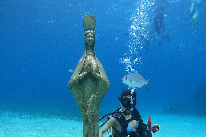 Chankanaab Park Admission +Snorkeling + Lunch included - Analyzing the Value