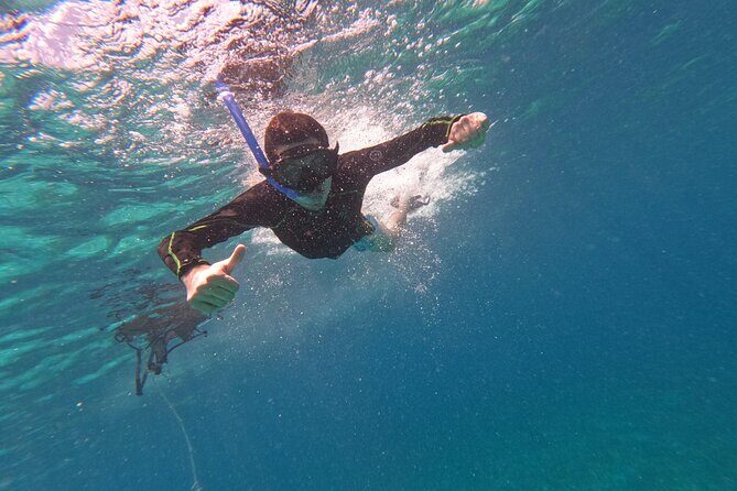 Chankanaab Park entrance ticket with snorkeling and buffet included - The Experience for Different Types of Travelers