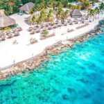 Chankanaab Park Plus Discovery Scuba Dive with Lunch - The Sum Up