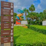 Chankanab Park Admission +Open bar +Lunch included +Snorkeling - Transportation and Timing