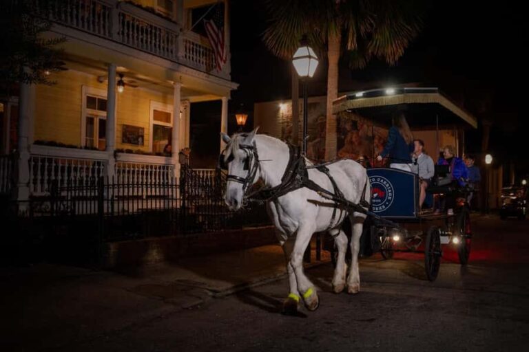 Charleston: Evening Ghost Carriage Tour - Who Should Consider This Tour?