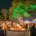 Charleston Festival of Lights with Small Group Transportation - Inside James Island County Park: What to Expect