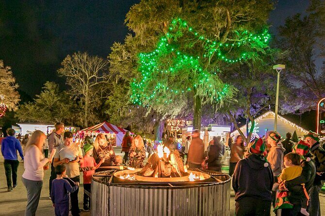 Charleston Festival of Lights with Small Group Transportation - Inside James Island County Park: What to Expect
