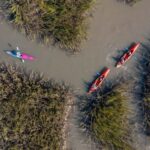 Charleston: Folly Beach Morning Kayak Dolphin Safari - Why We Love This Tour