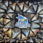 Charleston/Folly Beach Shark Tooth and fossil Island Drop off - Practical Details and Tips