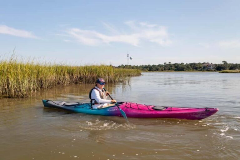 Charleston: Folly River Sunset Kayak Dolphin Safari - Who Will Love This Tour?