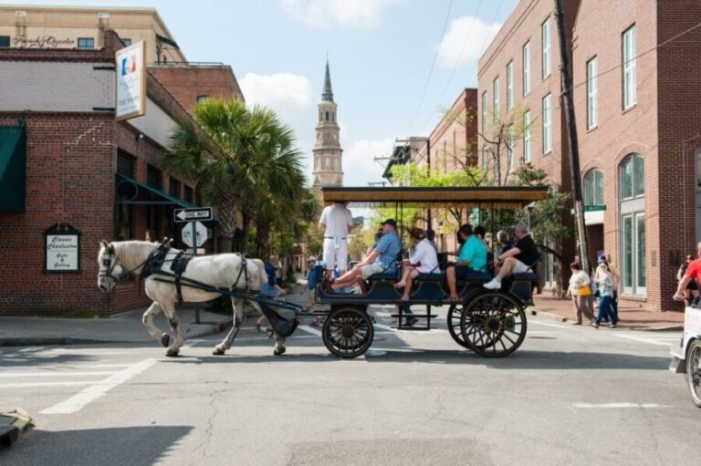 Charleston: Haunted Horse-Drawn Carriage Evening Tour - Who Will Love This Tour?