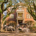 Charleston: Historic Carriage Tour of Charleston - The Storytelling and Guide Expertise