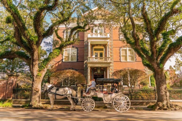 Charleston: Historic Carriage Tour of Charleston - The Storytelling and Guide Expertise