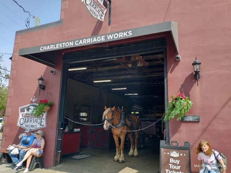 Charleston: Historic Residential Horse and Carriage Tour - What Makes This Tour Stand Out?