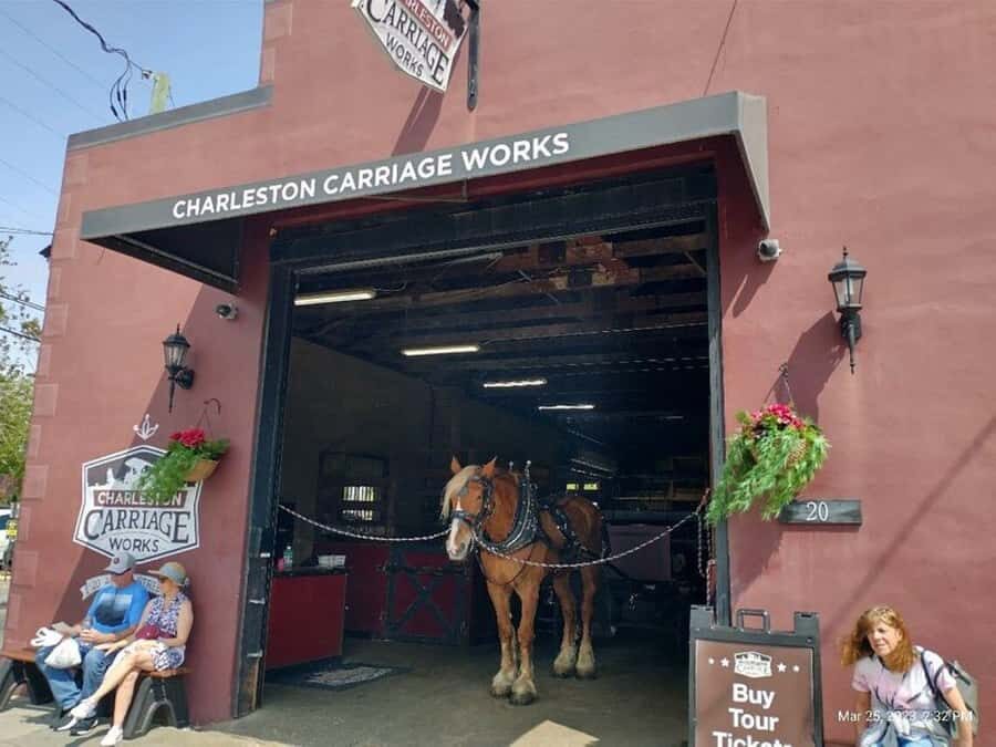Charleston: Historic Residential Horse and Carriage Tour - What Makes This Tour Stand Out?