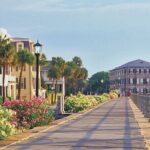 Charleston in Comfort: A Small Group City Tour with Sprinter Van - What to Expect from the Experience