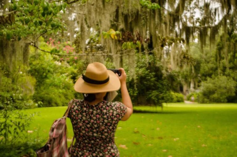 Charleston: Magnolia Plantation with Transport and City Tour - The Experience of the Magnolia Plantation