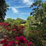 Charleston: Middleton Place Guided Tour with Lunch - The Experience in Detail