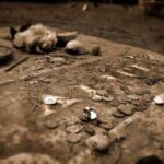 Charleston: Myths & Monsters Paranormal History Walking Tour - The Value and Practicalities