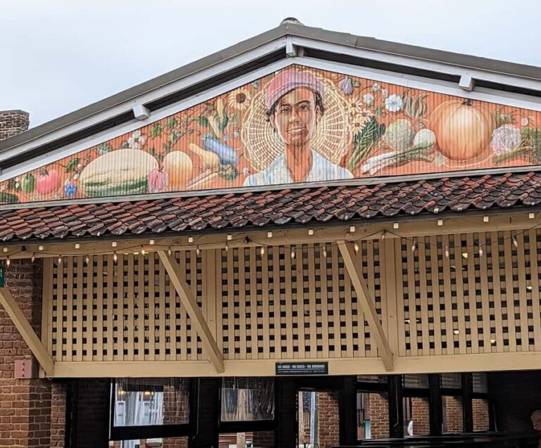 Charleston: Plan Your Own Adventure Customized Private Tour - Exploring Charleston at Your Own Pace and Preference