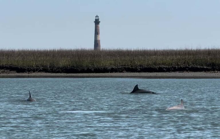 Charleston: Private Shark-tooth hunt and Lighthouse Viewing - Authentic Experiences & Feedback