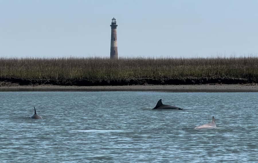 Charleston: Private Shark-tooth hunt and Lighthouse Viewing - Authentic Experiences & Feedback