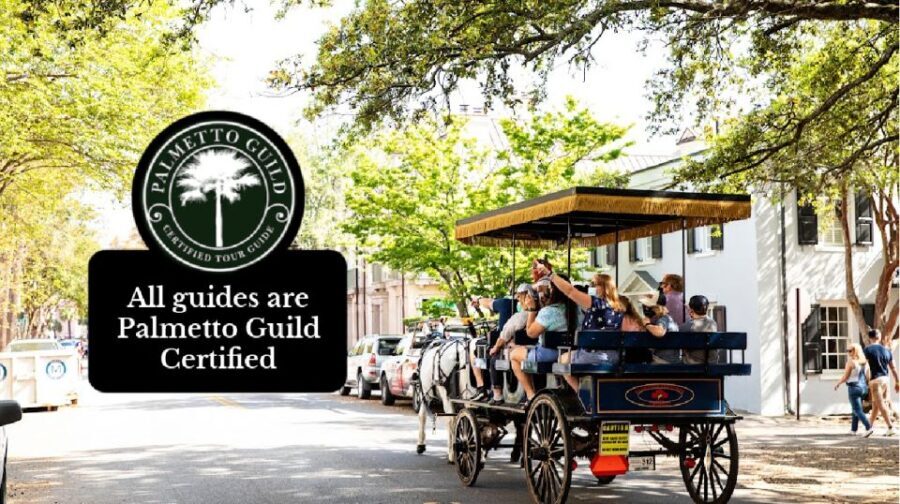 Charleston, SC: Private Daytime Horse-Drawn Carriage Ride - What Past Visitors Say