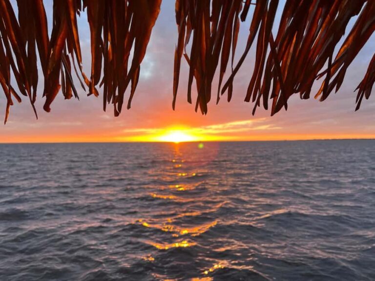 Charlotte Harbor: "The Oasis" Tiki Boat Sunset Cruise - A Typical Itinerary That Balances Sightseeing and Relaxation
