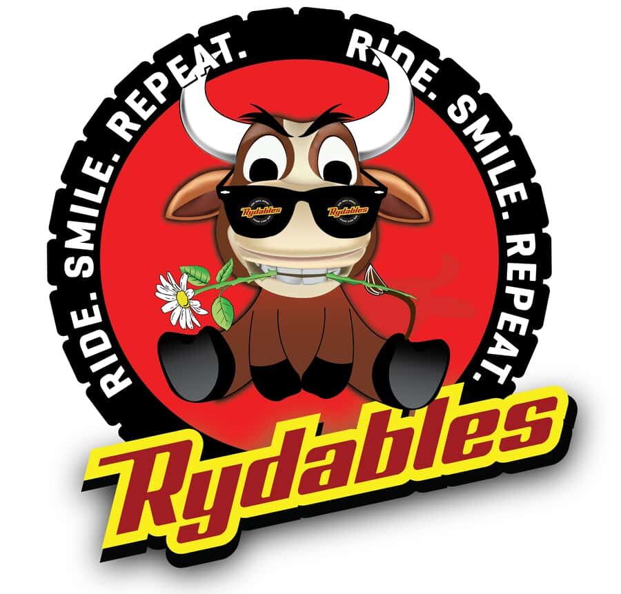 Charlotte: Holiday Lights Tour on a Rydable - Who Would Love This Tour?