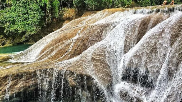 Chiapas: 4-Day Highlight Tour - Transportation, Accommodation, and Overall Value